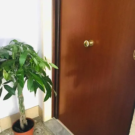 House Alessandrino